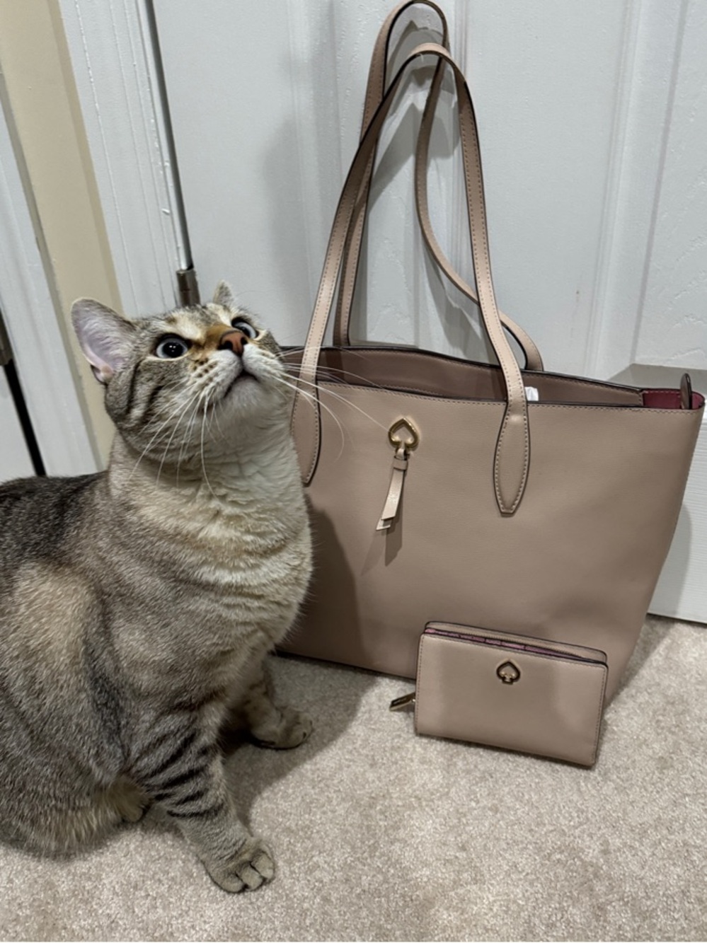 kate spade blush beige leather tote with matching wallet